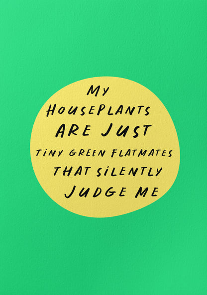 House Plants Judging Me