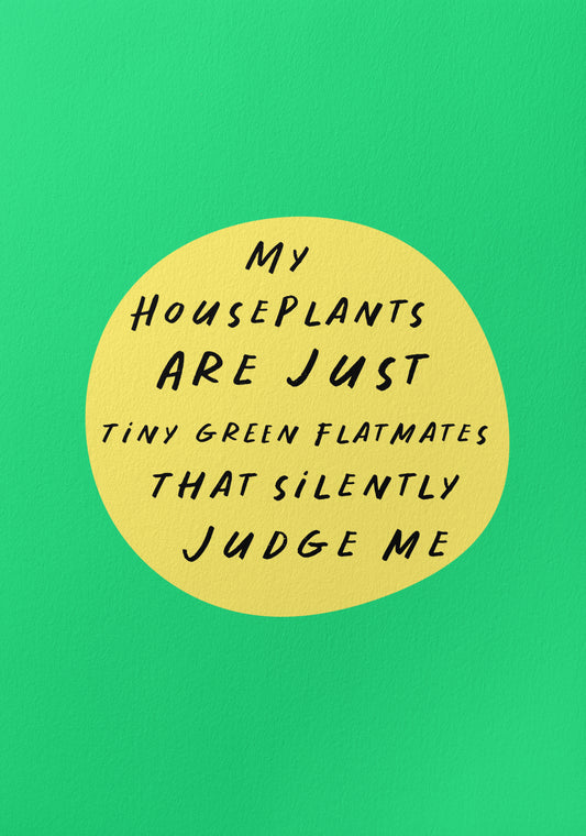 House Plants Judging Me